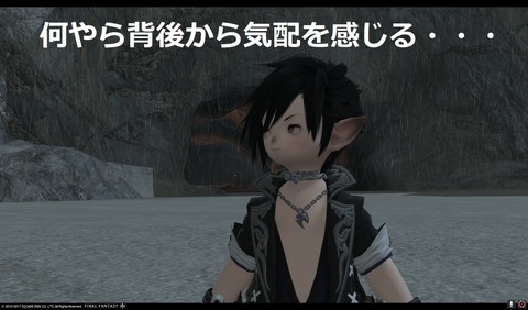 ffxiv nin451