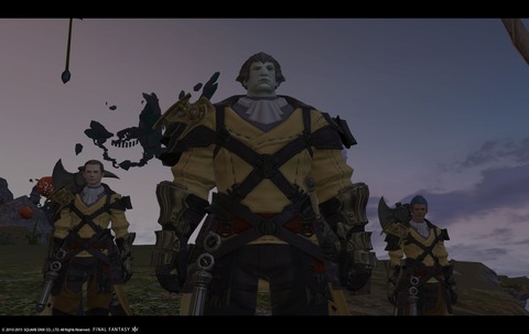 ffxiv sky17