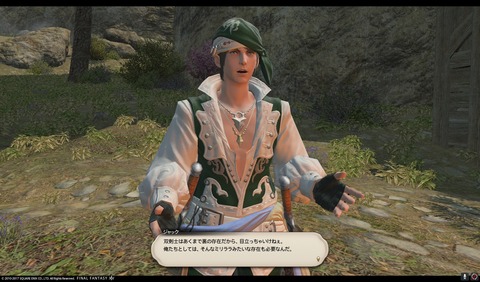 ffxiv nin377