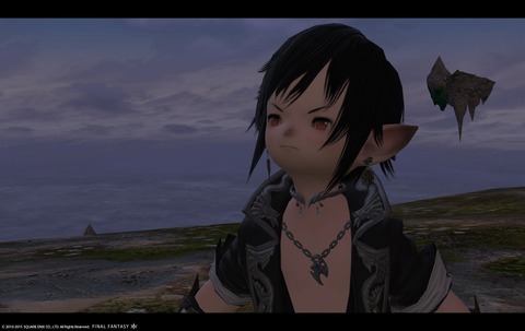 ffxiv sky15