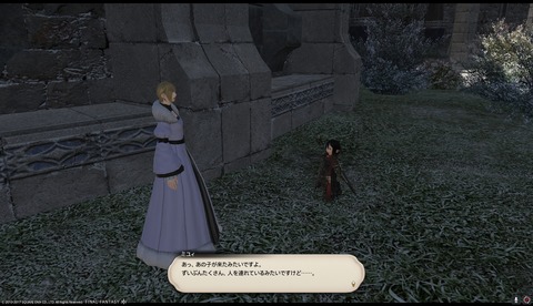 ffxiv drk867