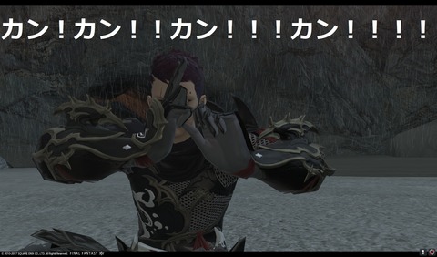ffxiv nin466
