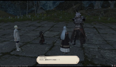ffxiv drk1063