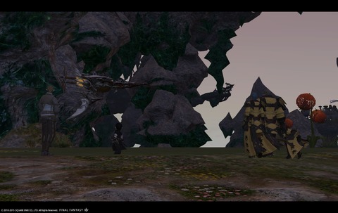 ffxiv sky21