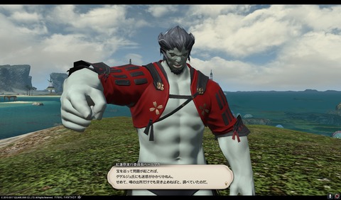 ffxiv sq478