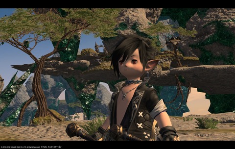 ffxiv sky216