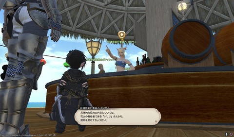 ffxiv sq447