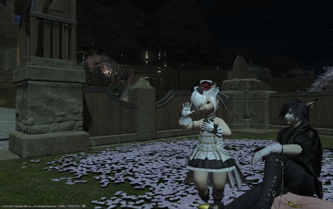 ffxiv diary1196