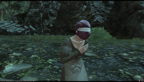 ffxiv drk1007