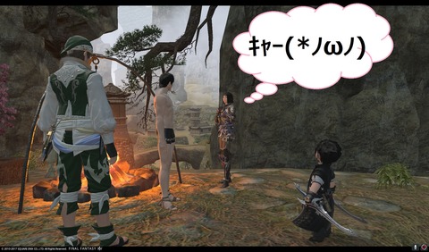 ffxiv nin382