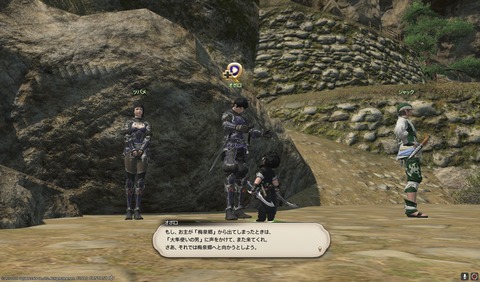 ffxiv nin393
