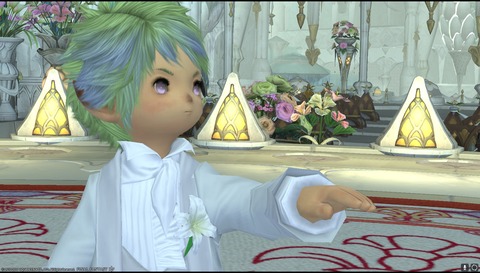 ffxiv diary1163