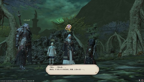 ffxiv drk1011