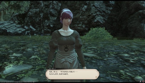 ffxiv drk1006