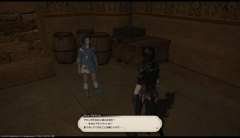 ffxiv sq336