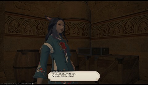 ffxiv sq341