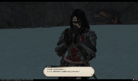 ffxiv nin501