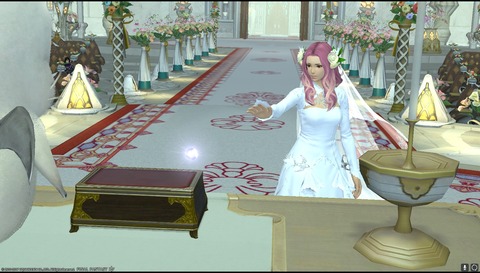 ffxiv diary1161