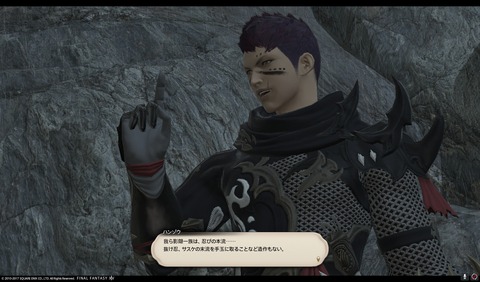 ffxiv nin461