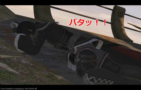 ffxiv sky371