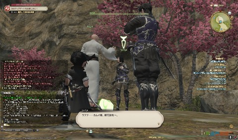ffxiv nin415