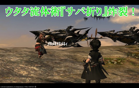 ffxiv sky217