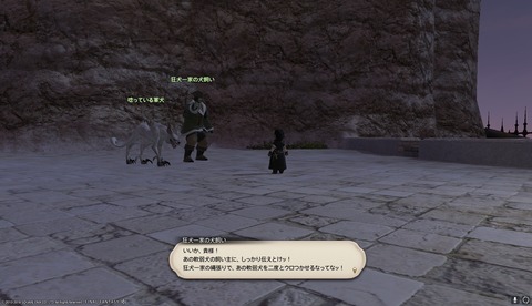ffxiv sq677