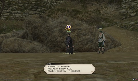 ffxiv nin446