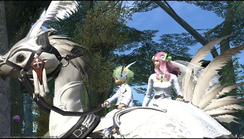 ffxiv diary1187