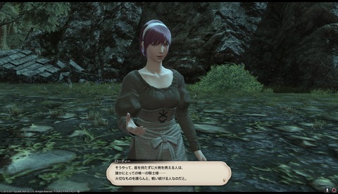 ffxiv drk1004
