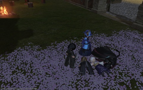 ffxiv diary1193