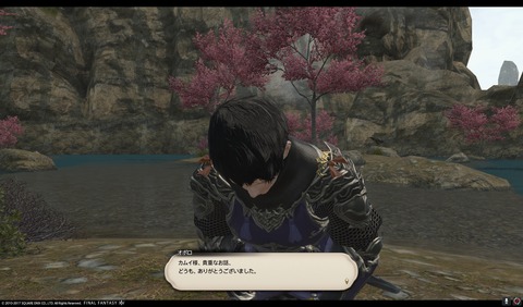ffxiv nin430