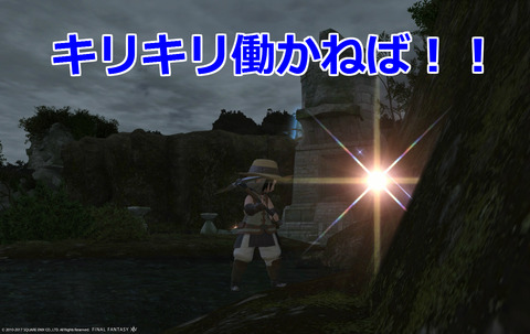 ffxiv diary971