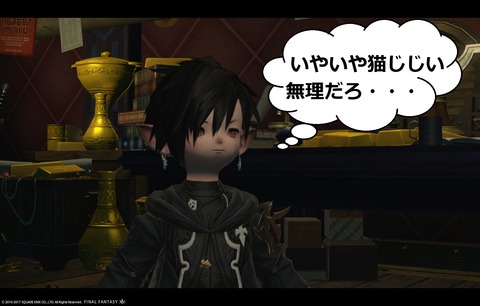 ffxiv sky358