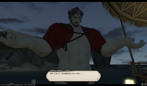 ffxiv sq496