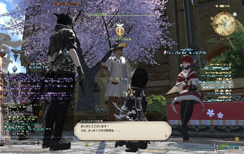 ffxiv sq272