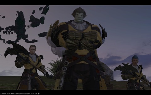 ffxiv sky14