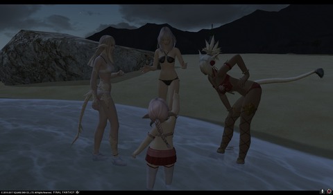 ffxiv sq495