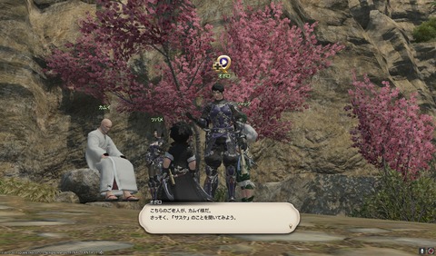 ffxiv nin395