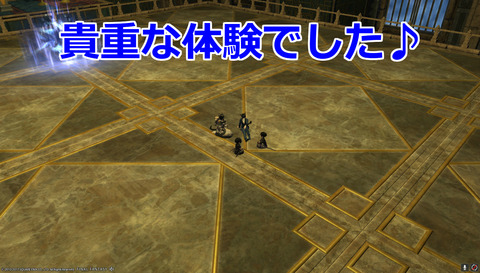 ffxiv diary1213