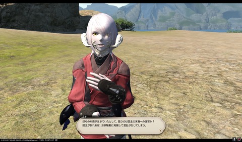 ffxiv nin349