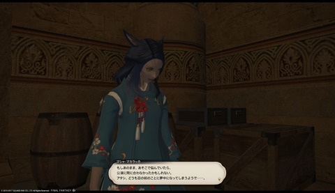 ffxiv sq338