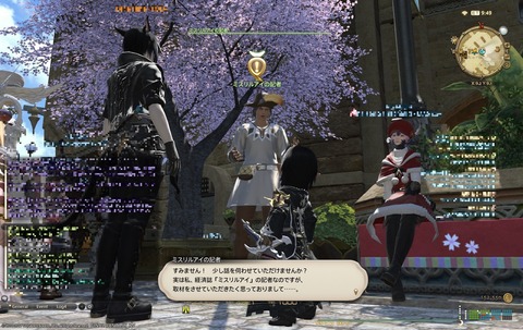 ffxiv sq271