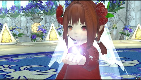 ffxiv diary1235