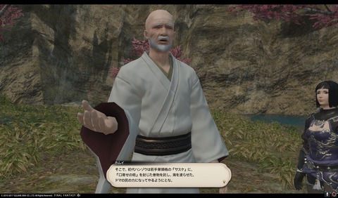 ffxiv nin423