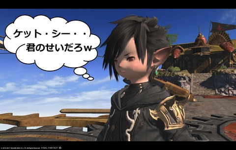 ffxiv sky411