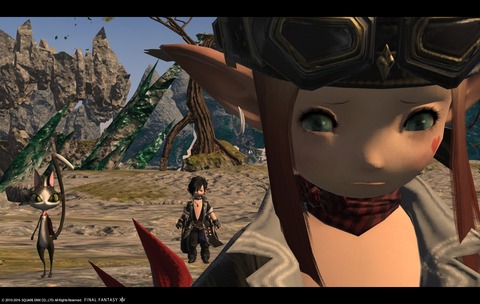 ffxiv sky210