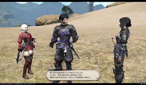 ffxiv nin351
