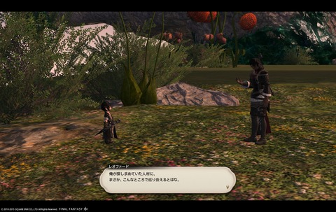 ffxiv sky34