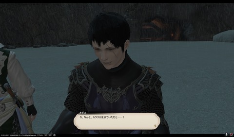 ffxiv nin504